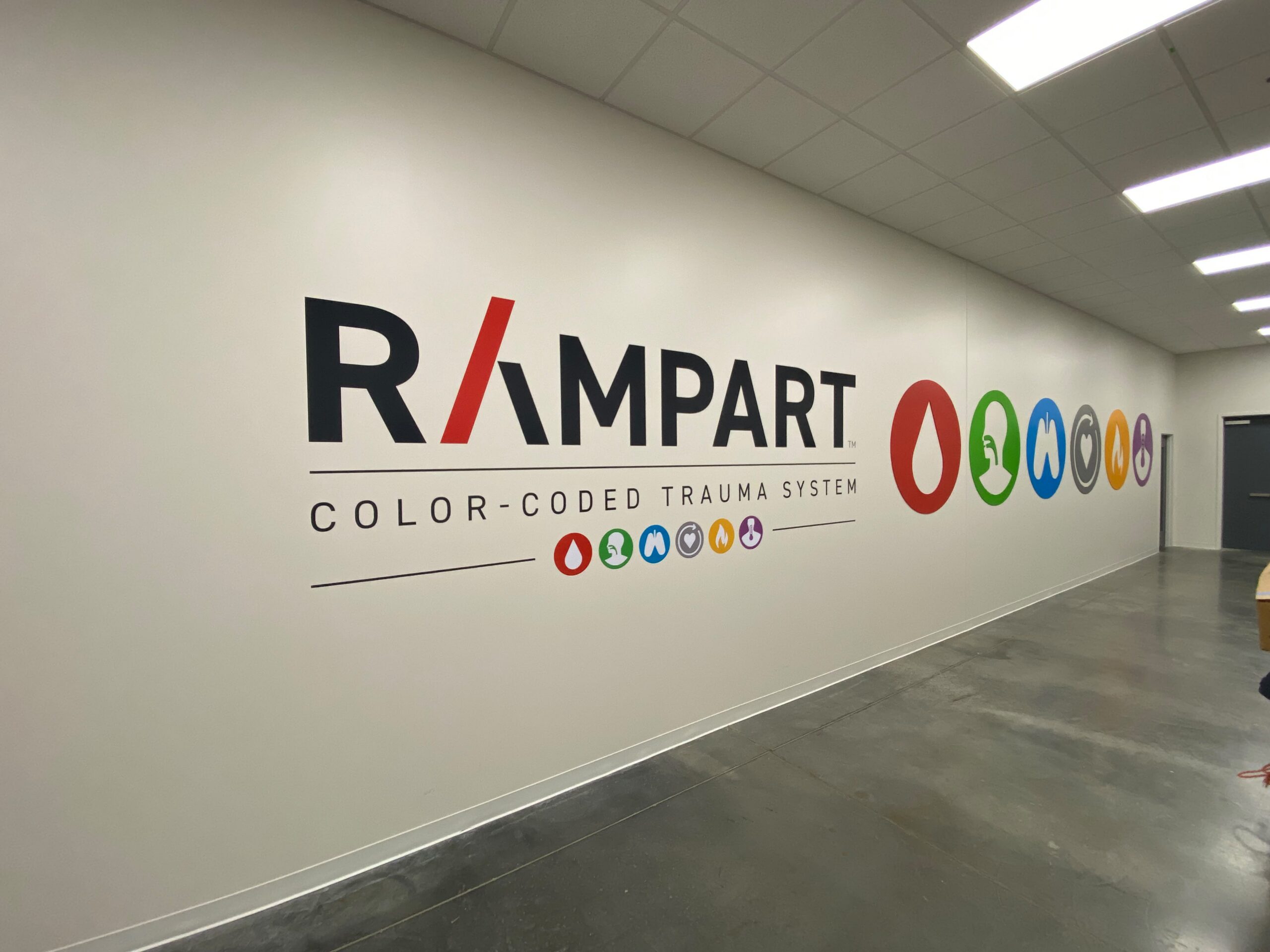 SmartSwans interior wall graphics and office branding project