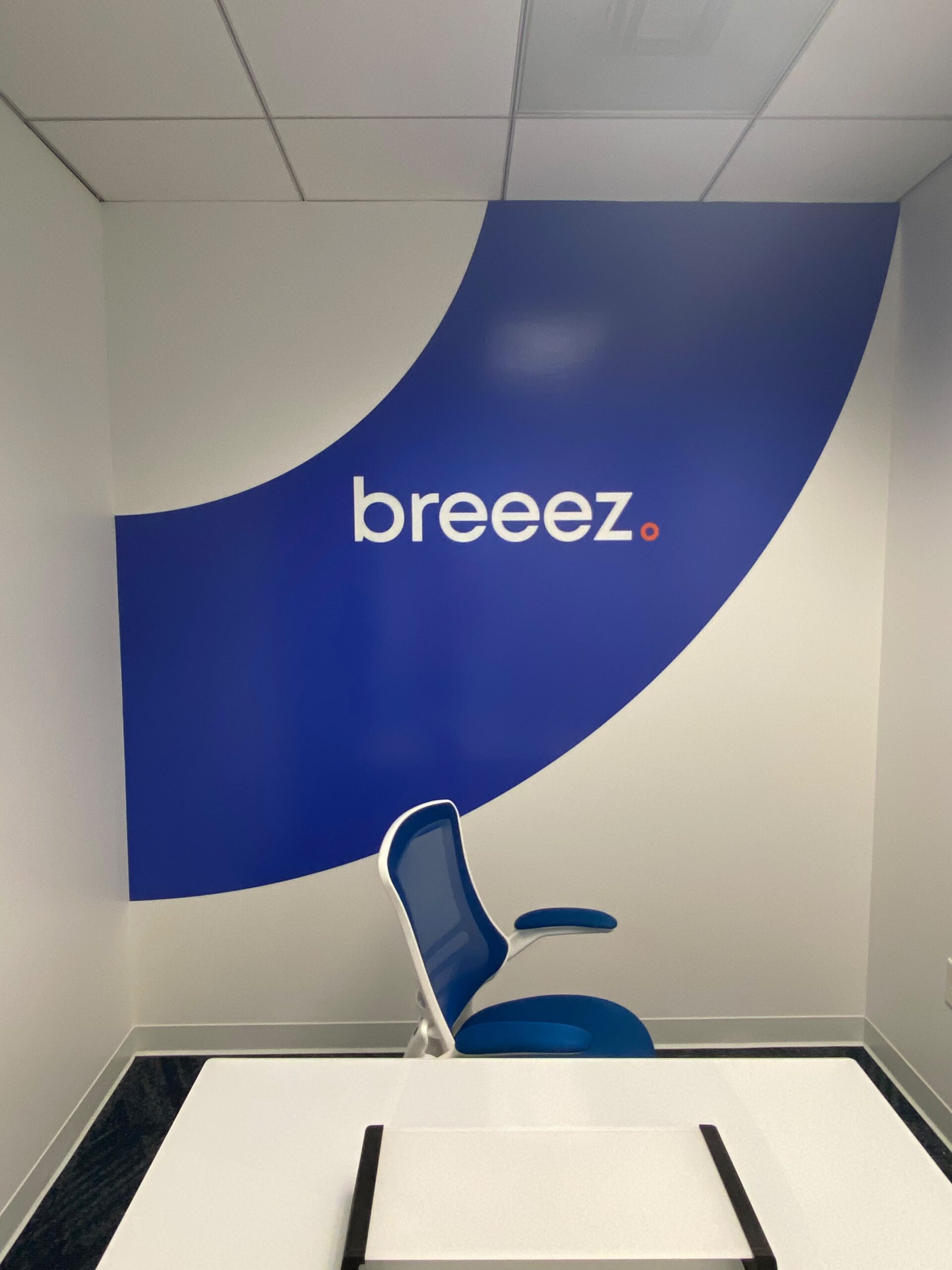 SmartSwans interior wall graphics project