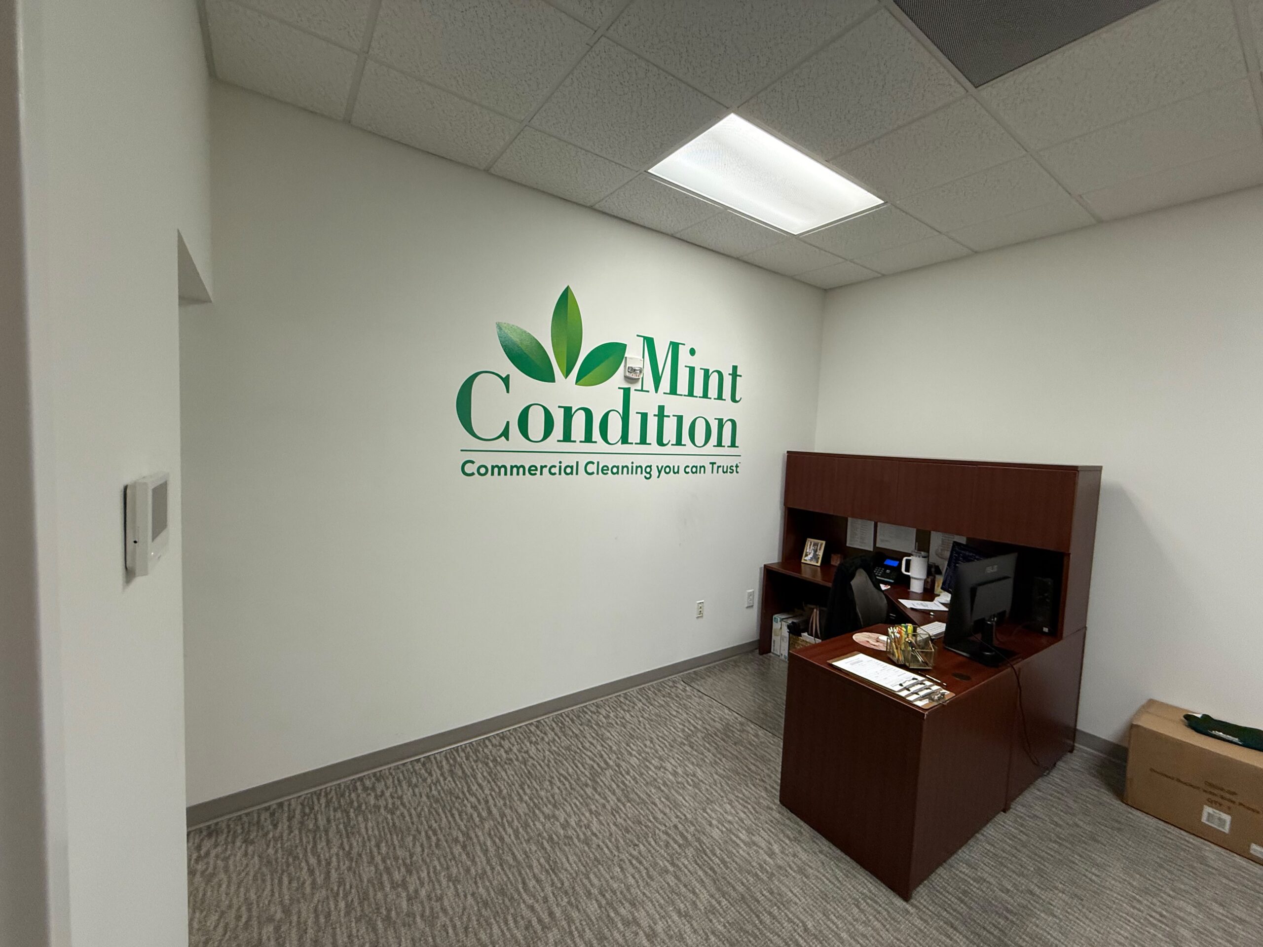SmartSwans interior wall logo and office branding project